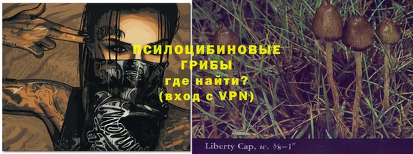 Альфа ПВП Верхний Тагил